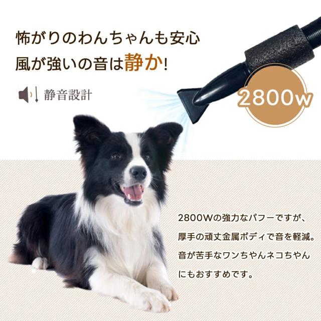 ペットドライヤー 業務用 犬 猫 ペットヘアードライヤー ペット用